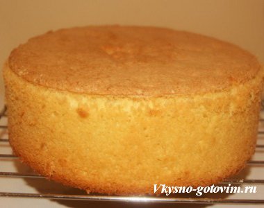 Бисквит рецепт. Не знаете как приготовить вкусный рецепт бисквита тогда вам поможет наш совет arenda-24.com/cities/Odessa