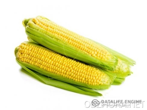 Запеченные початки кукурузы - Вторые блюда - Рецепты с фото